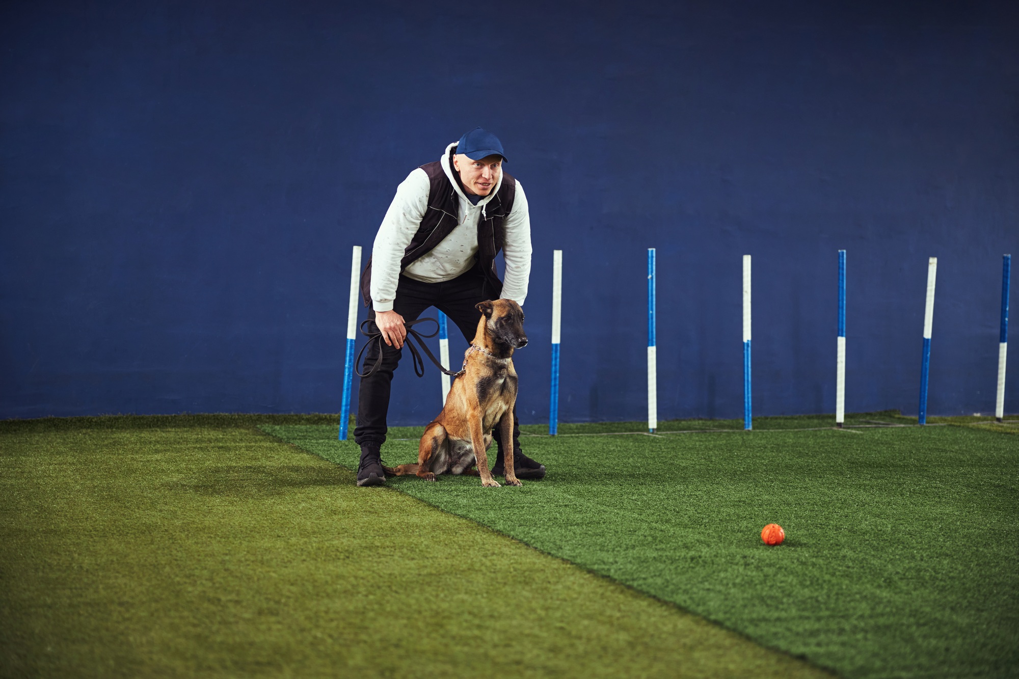Professional dog handler training a Belgian Malinois